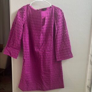 Ann Taylor Magenta Eyelet Dress